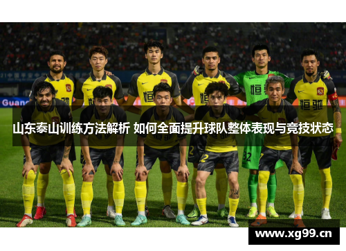 山东泰山训练方法解析 如何全面提升球队整体表现与竞技状态