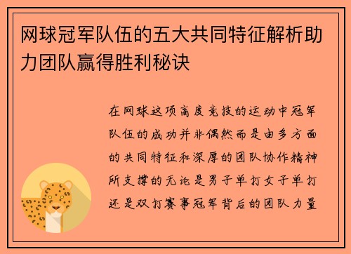 网球冠军队伍的五大共同特征解析助力团队赢得胜利秘诀